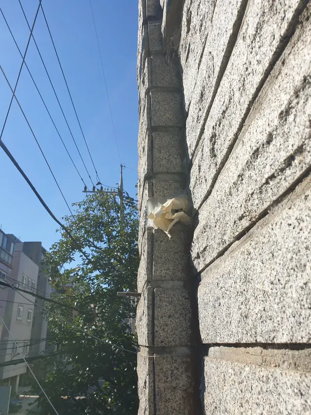석재 마감 외벽 구멍 현장 확인 현장 사진 (사례 02)
