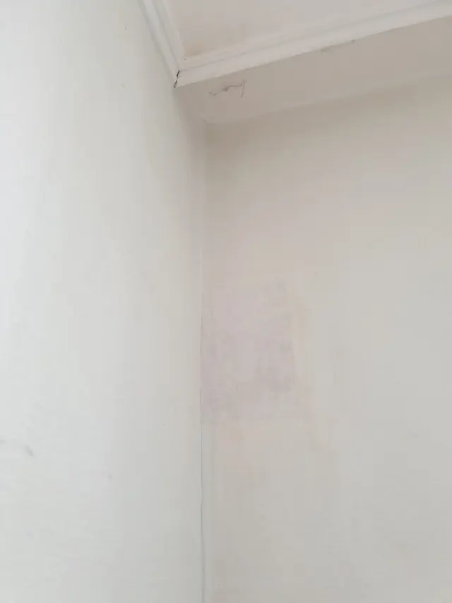 천장 인접 실내 벽 구멍 복원 후 현장 사진 (사례 50)